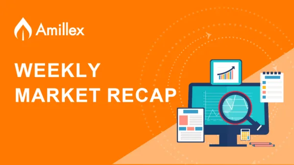 Read more about the article Bacis of Forex Trading: Currency Pairs, Exchange Rates and More