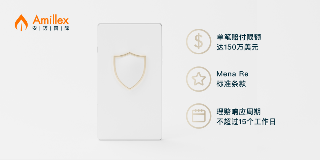 Read more about the article Amillex ：150万美元专业赔偿险，全面构建客户资金防护体系