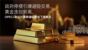 Read more about the article Amillex每日汇评：政府停摆引爆避险交易，黄金连创新高，OPEC+会议与美联储纪要成下周焦点