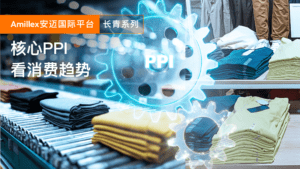 درباره مقاله بیشتر بخوانید Amillex 安迈国际平台长青系列｜核心 PPI 看消费趋势
