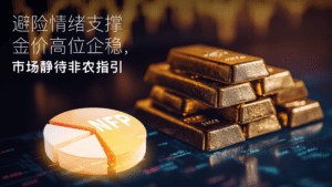 この記事の続きを読む Amillex安迈每日汇评｜避险情绪支撑金价高位企稳，市场静待非农指引 