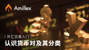 درباره مقاله بیشتر بخوانید 外汇交易入门：认识货币对及其分类 