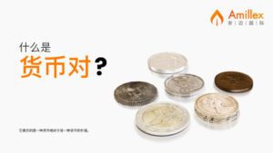 Read more about the article Amillex安迈教育系列 | 认识货币对01：理解汇率的基础