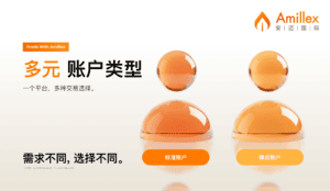 Read more about the article Amillex 安迈国际 | 多元账户类型，为不同需求提供更多选择