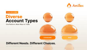En savoir plus sur l'article Diverse Account Types, More Choices for Different Needs