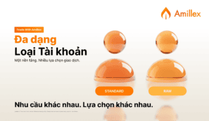 درباره مقاله بیشتر بخوانید Đa dạng loại tài khoản, thêm lựa chọn cho những nhu cầu khác nhau