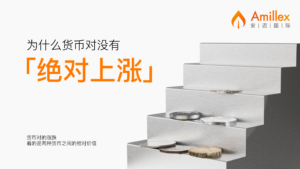 Read more about the article 安迈教育系列｜为什么货币没有“绝对上涨”？