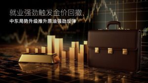 閱讀有關該文章的更多信息 Amillex安迈每日汇评｜就业强劲触发金价回撤，中东局势升级推升原油强劲反弹